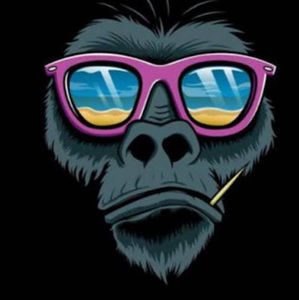 Meet your Posher, Liam